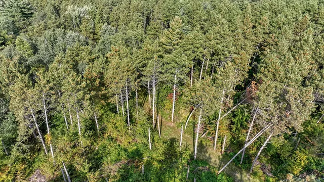 $720,000 | W15971 Cedar Road, Springfield, WI 54659