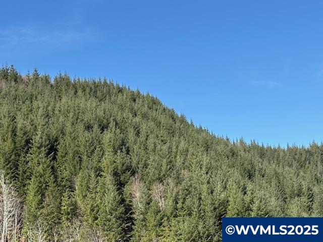 0 Logsden Road Blodgett, OR 97326 - Photo 1 of 24