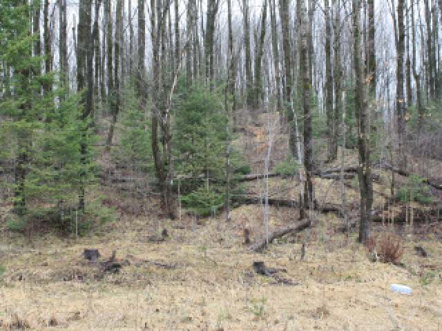 On Soumi Road Ogema, WI 54459 - Photo 6 of 7 Gallery Image 6