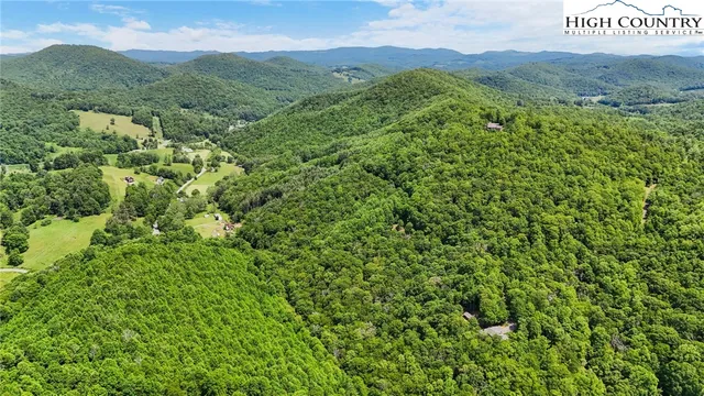 a view of a lush green hillside and houses