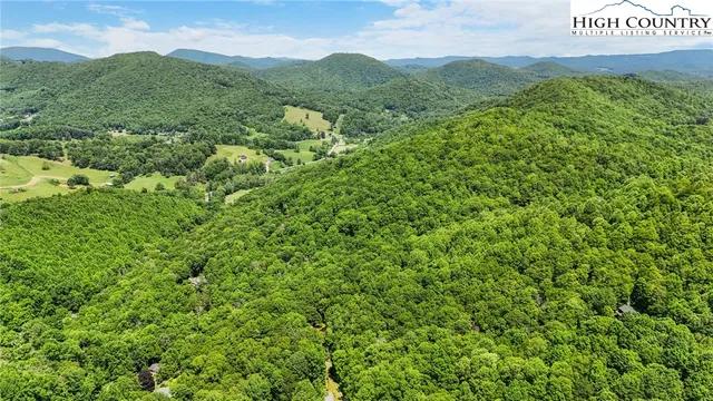 a view of a lush green forest with mountains in the background