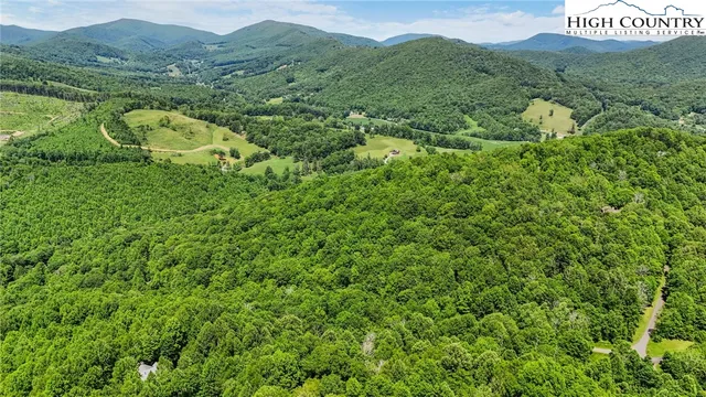 a view of a lush green hillside and mountains