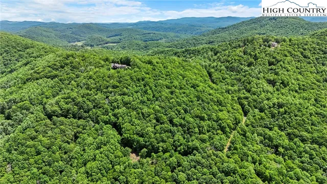 a view of a lush green hillside and mountains