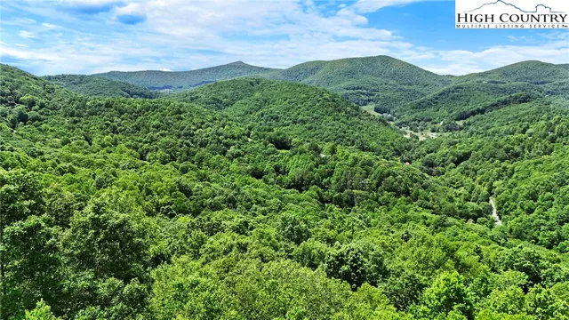 a view of a city with lush green forest