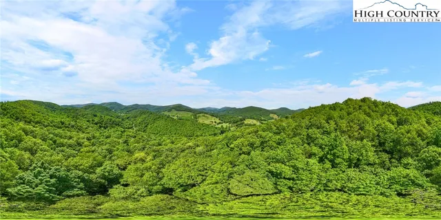 a view of a lush green forest with trees in the background