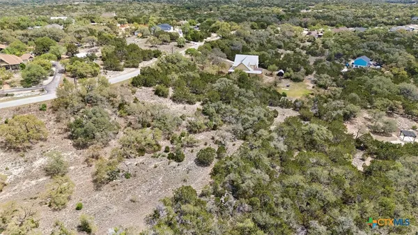 view of a yard with a tree