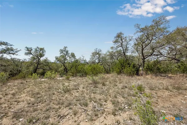 a view of a dry yard with trees in the background