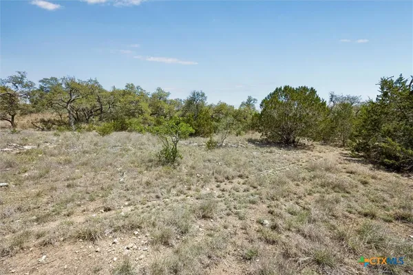 a view of a dry yard with trees in the background