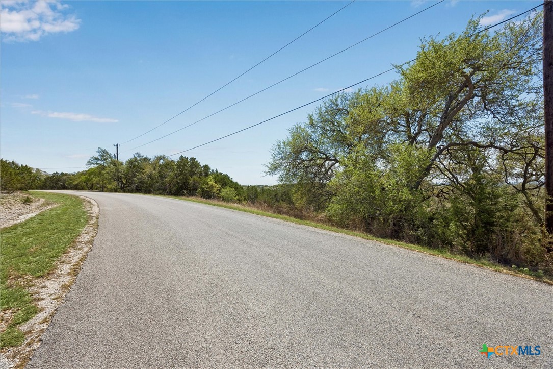 1078 Madrone Road Fischer, TX 78623 - Photo 8 of 12