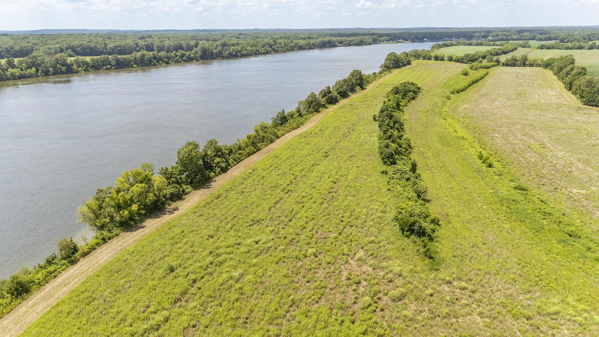 10157 Clifton Road Savannah, TN 38372 - Photo 11 of 40