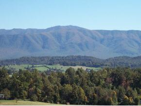 1549 Jim Fox Road Greeneville, TN 37743 - Photo 1 of 4 Photo 1