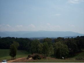 1549 Jim Fox Road Greeneville, TN 37743 - Photo 2 of 4 Photo 2