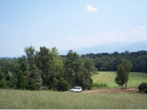 1549 Jim Fox Road Greeneville, TN 37743 - Photo 3 of 4 Photo 3