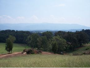 1549 Jim Fox Road Greeneville, TN 37743 - Photo 4 of 4 Photo 4
