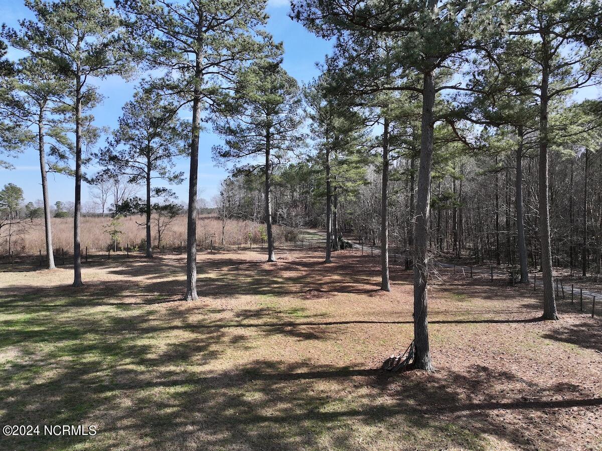 657 Collins Mill Road Castalia, NC 27816 - Photo 103 of 148 DJI_20240220144305_0920_D