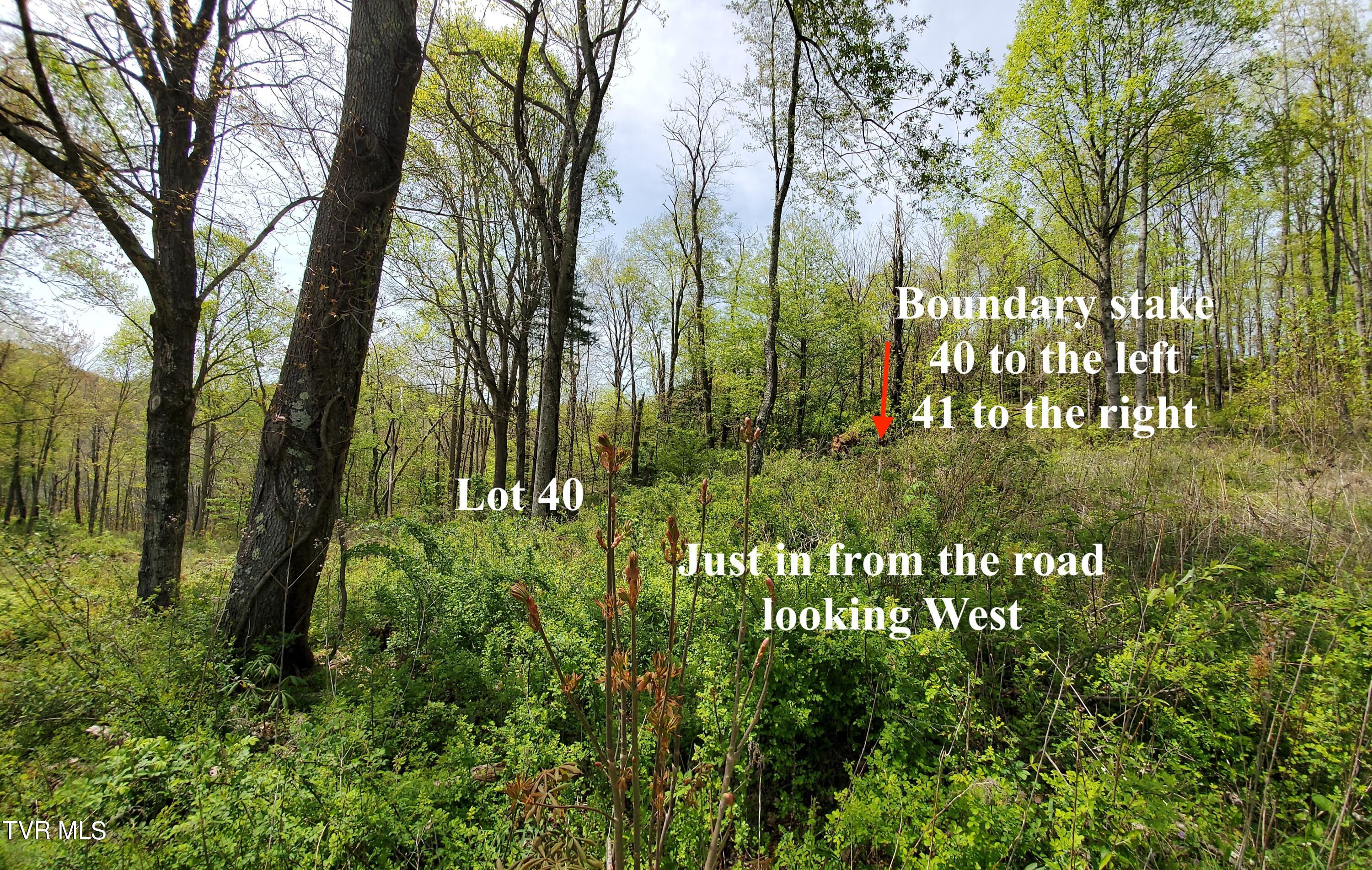 Lot 40 Cowan Town Road, Unit 40 Butler, TN 37640 - Photo 56 of 117 20