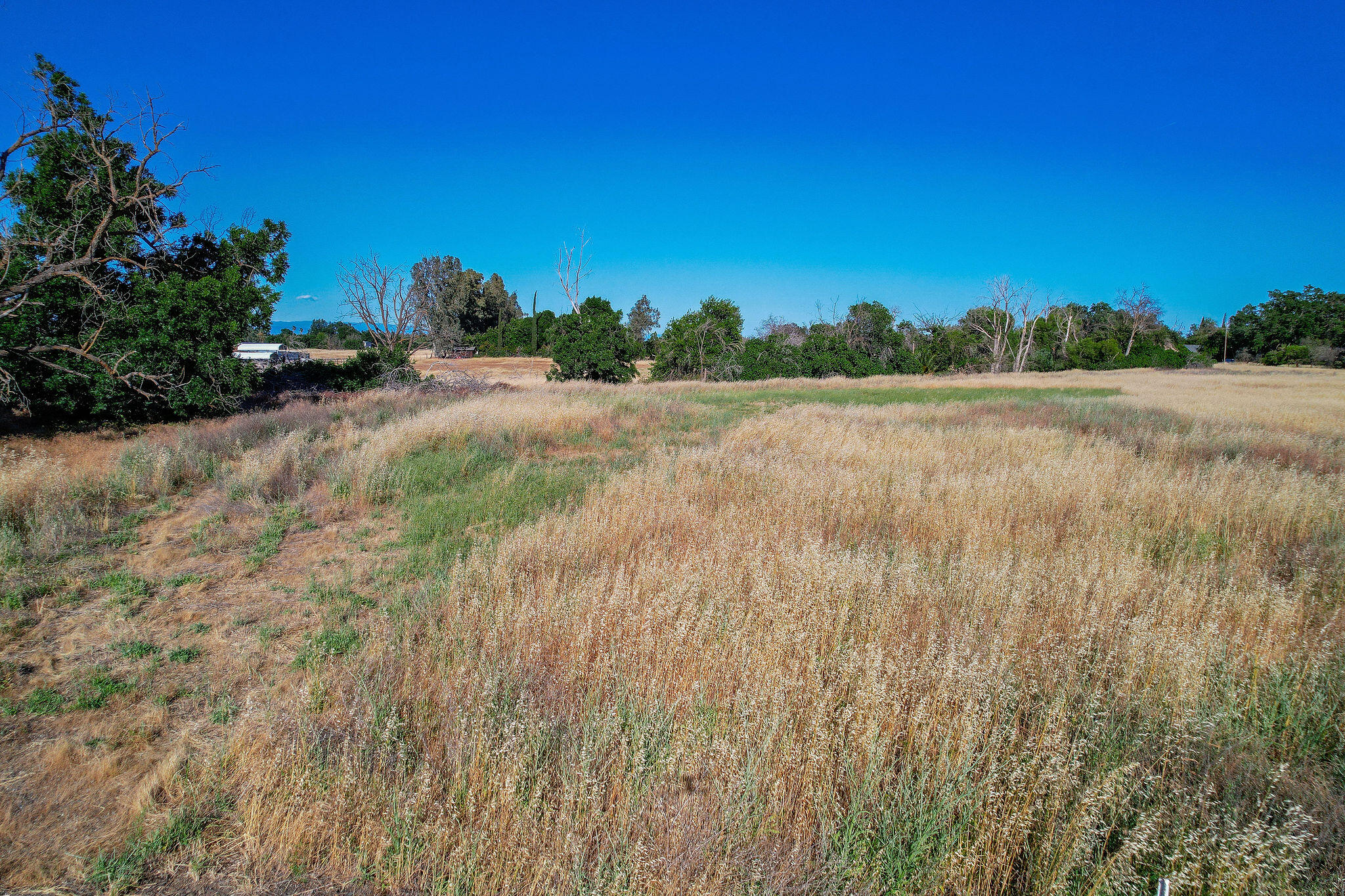 0 Co Road Orland, CA 95963 - Photo 3 of 10 3