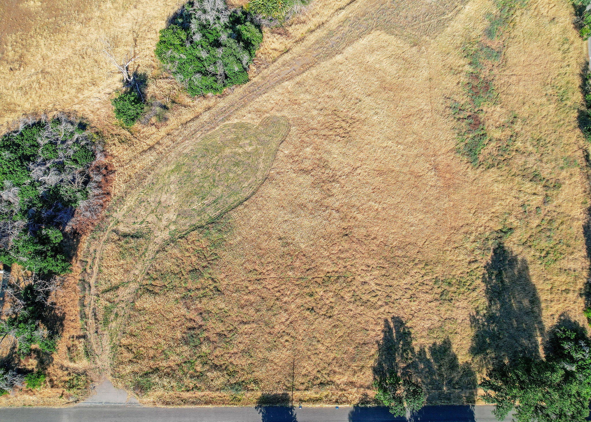 0 Co Road Orland, CA 95963 - Photo 5 of 10 DJI_0450