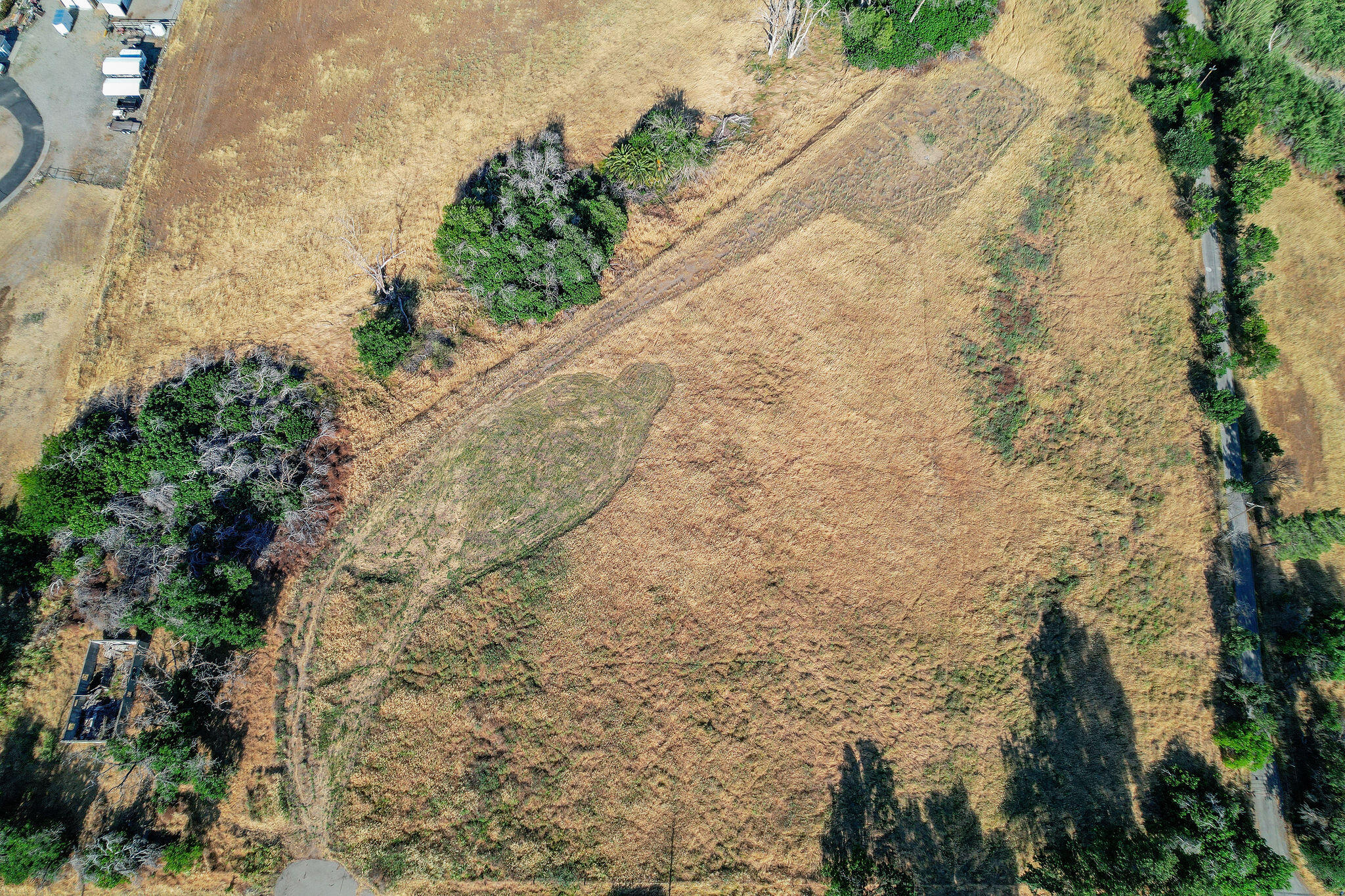 0 Co Road Orland, CA 95963 - Photo 6 of 10 DJI_0452