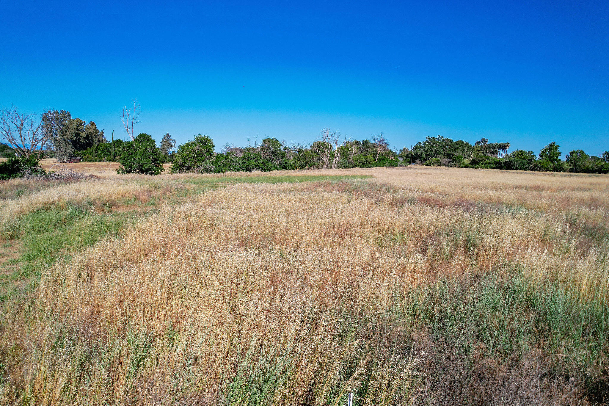 0 Co Road Orland, CA 95963 - Photo 9 of 10 DJI_0464