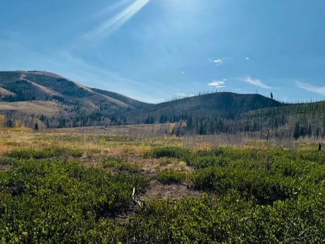 $987,000 | 0 Parsons Draw Road, Cowdrey, CO 80434