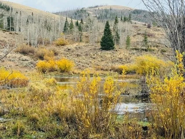 $987,000 | 0 Parsons Draw Road, Cowdrey, CO 80434