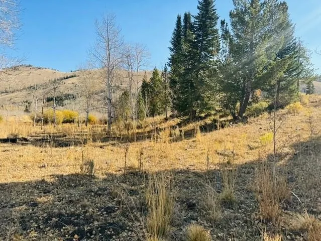 $987,000 | 0 Parsons Draw Road, Cowdrey, CO 80434