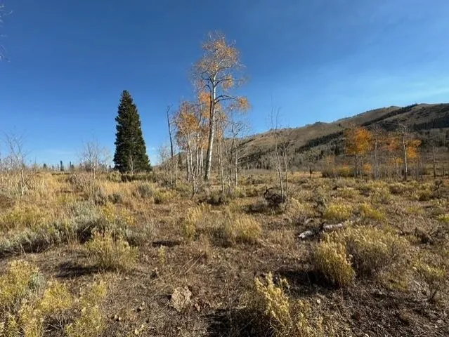 $987,000 | 0 Parsons Draw Road, Cowdrey, CO 80434