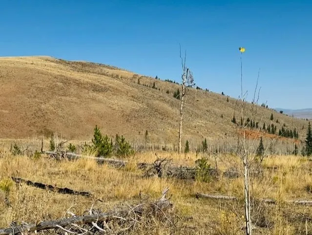 $987,000 | 0 Parsons Draw Road, Cowdrey, CO 80434