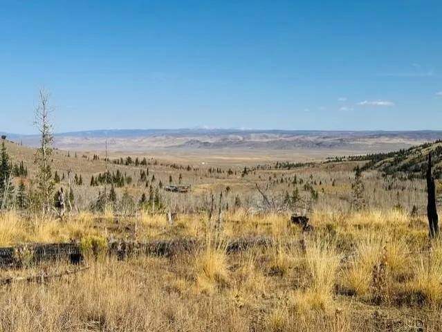 $987,000 | 0 Parsons Draw Road, Cowdrey, CO 80434