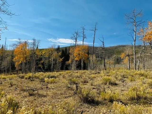 $987,000 | 0 Parsons Draw Road, Cowdrey, CO 80434