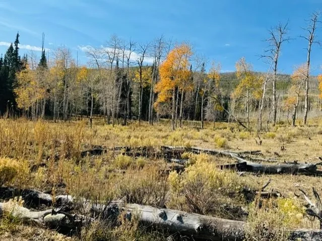 $987,000 | 0 Parsons Draw Road, Cowdrey, CO 80434