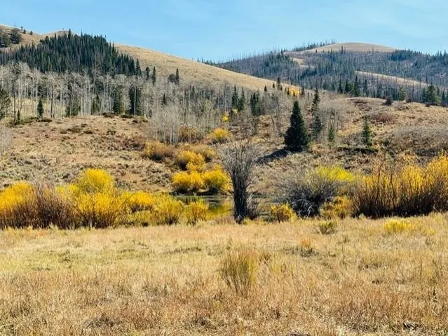 $987,000 | 0 Parsons Draw Road, Cowdrey, CO 80434