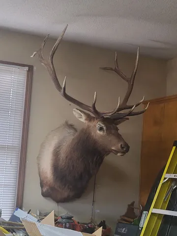 $987,000 | 0 Parsons Draw Road, Cowdrey, CO 80434