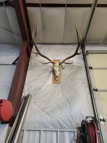 $987,000 | 0 Parsons Draw Road, Cowdrey, CO 80434