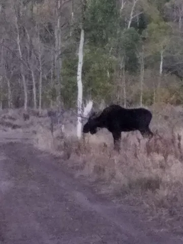 $987,000 | 0 Parsons Draw Road, Cowdrey, CO 80434