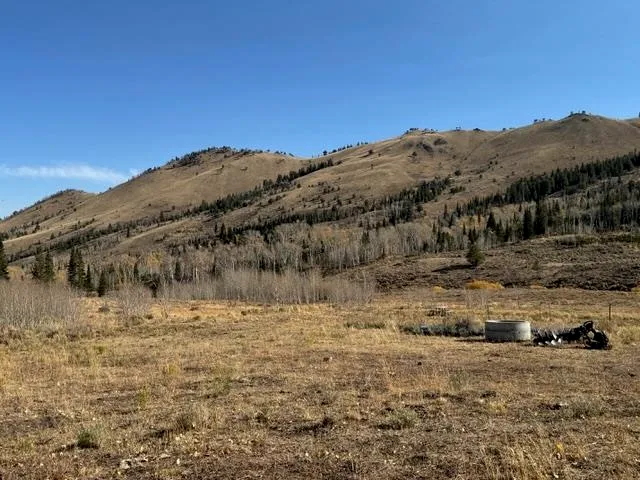 $987,000 | 0 Parsons Draw Road, Cowdrey, CO 80434