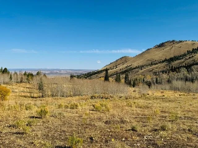 $987,000 | 0 Parsons Draw Road, Cowdrey, CO 80434