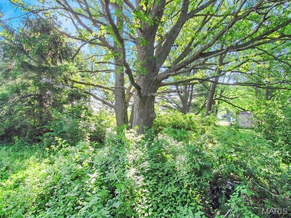 22662 South Centennial Road Jerseyville, IL 62052 - Photo 19 of 19