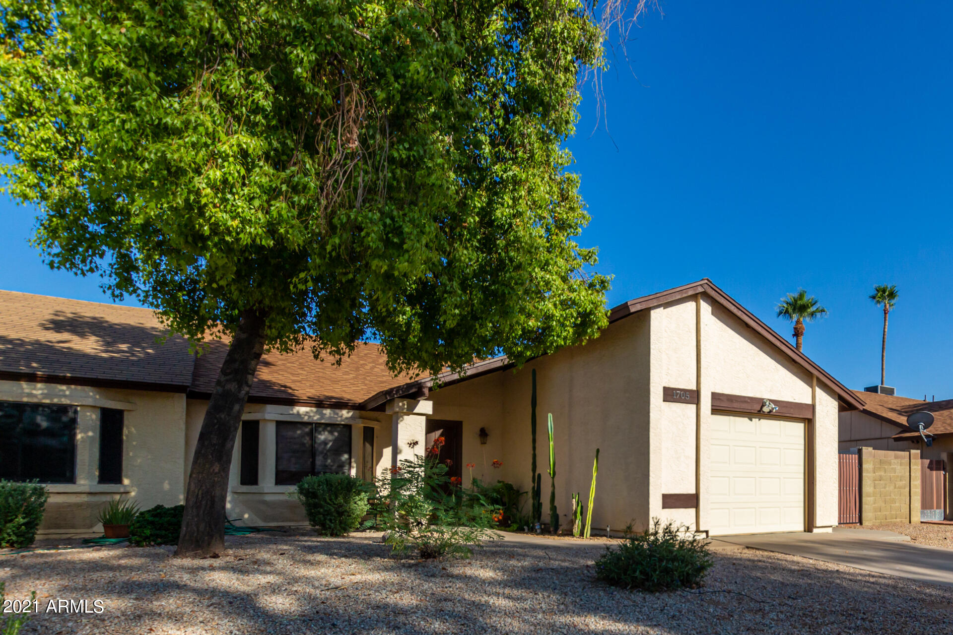 1705 South Roca Mesa, AZ 85204 - Photo 3 of 24 03-Roca