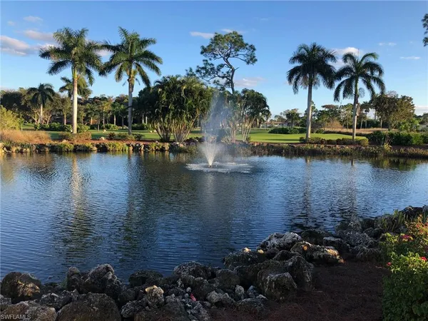a view of a lake with palm trees