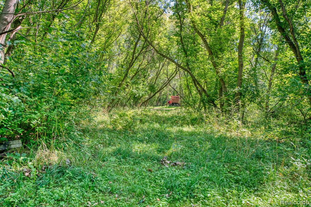 4750 North Nicholson Road Fowlerville, MI 48836 - Photo 30 of 31
