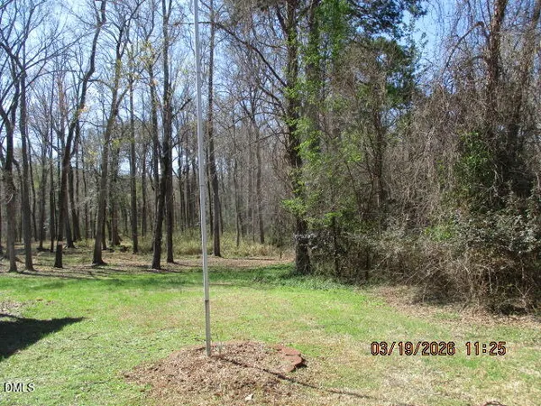 a view of a park with a tree