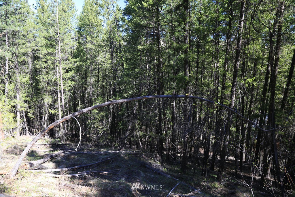 27 Sky Ranch Road Twisp, WA 98856 - Photo 11 of 35 Gallery Image 11