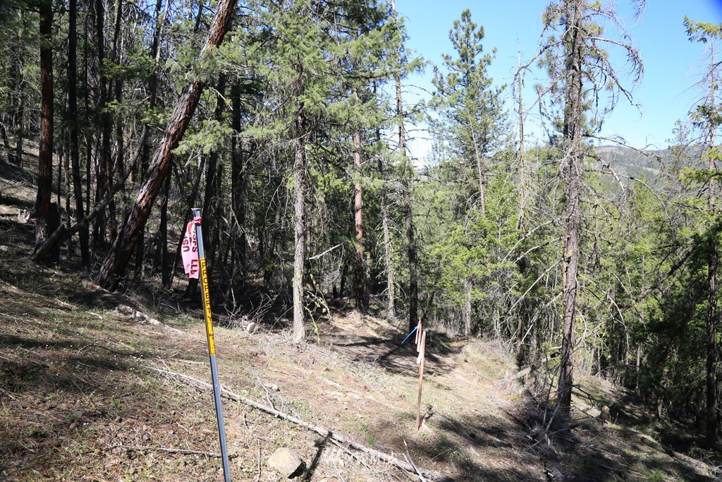 27 Sky Ranch Road Twisp, WA 98856 - Photo 13 of 35 Gallery Image 13