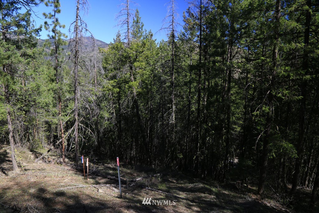 27 Sky Ranch Road Twisp, WA 98856 - Photo 15 of 35 Gallery Image 15