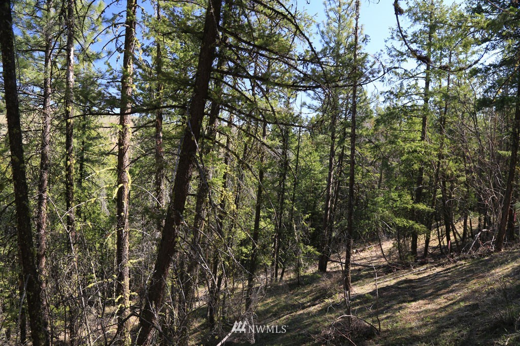 27 Sky Ranch Road Twisp, WA 98856 - Photo 17 of 35 Gallery Image 17