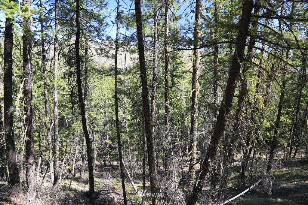 27 Sky Ranch Road Twisp, WA 98856 - Photo 18 of 35 Gallery Image 18
