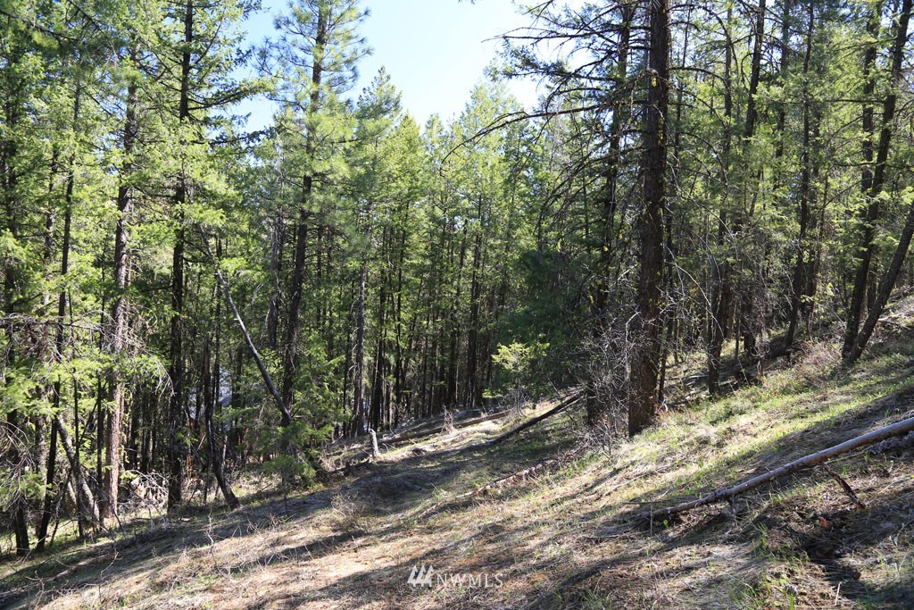 27 Sky Ranch Road Twisp, WA 98856 - Photo 21 of 35 Gallery Image 21