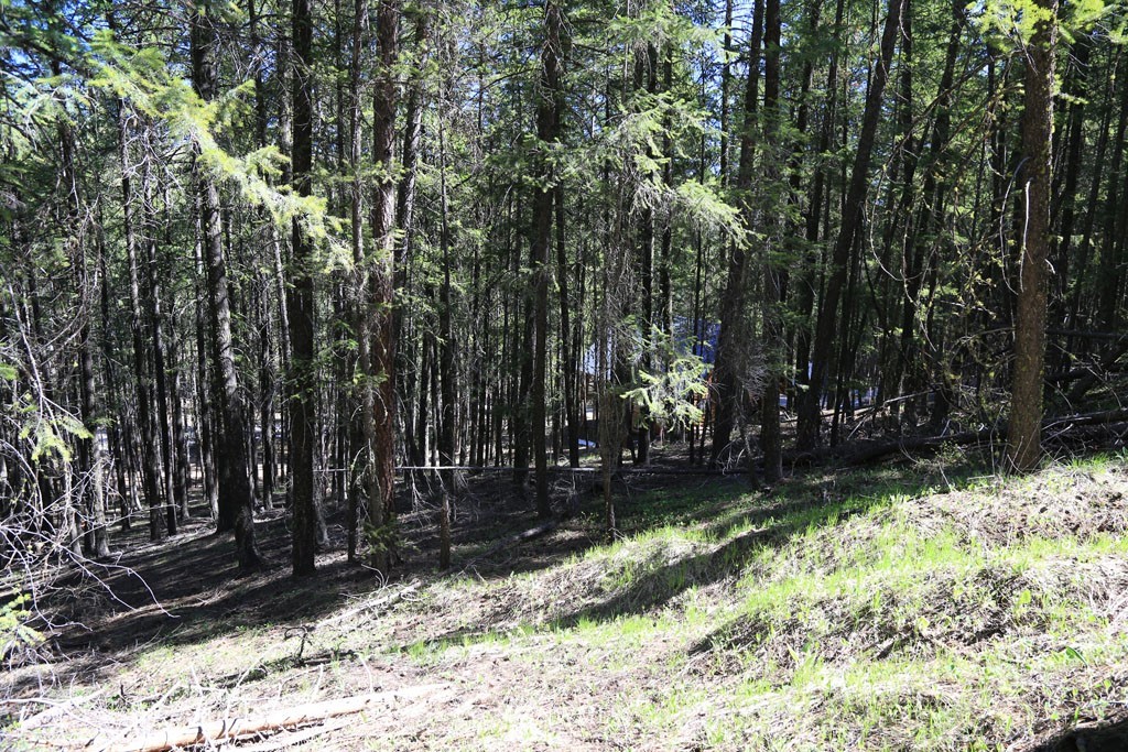 27 Sky Ranch Road Twisp, WA 98856 - Photo 23 of 35 Gallery Image 23